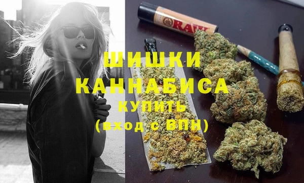 бошки Мегион