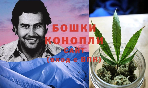 стаф Медногорск