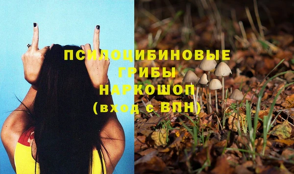 МДМА Михайловка