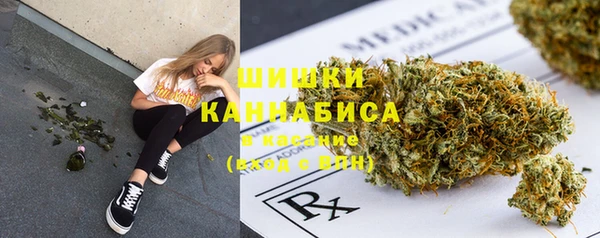 2c-b Николаевск-на-Амуре