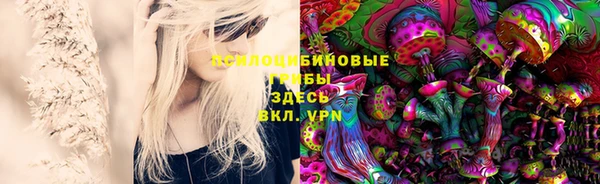 бошки Мегион