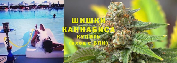 стаф Медногорск