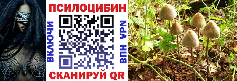 Псилоцибиновые грибы прущие грибы  ОМГ ОМГ ссылки  Приморско-Ахтарск 